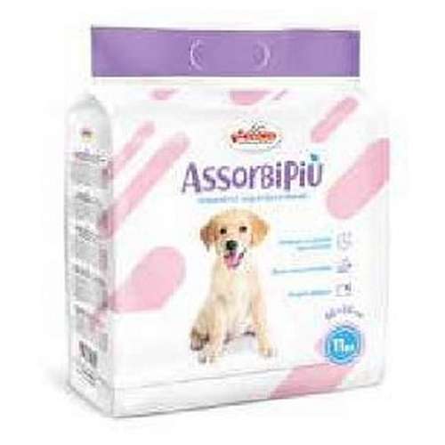 Absorvente