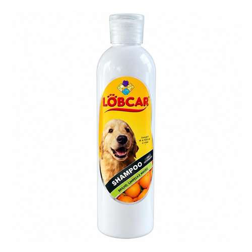 Shampoo seco para cão