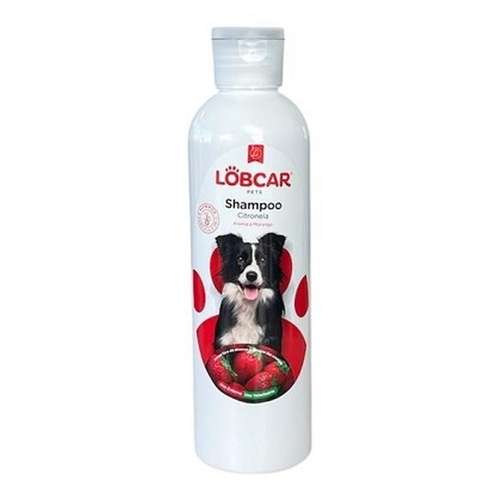 Shampoo citronela cão