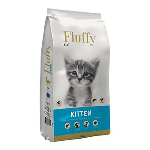 Fluffy cat kitten