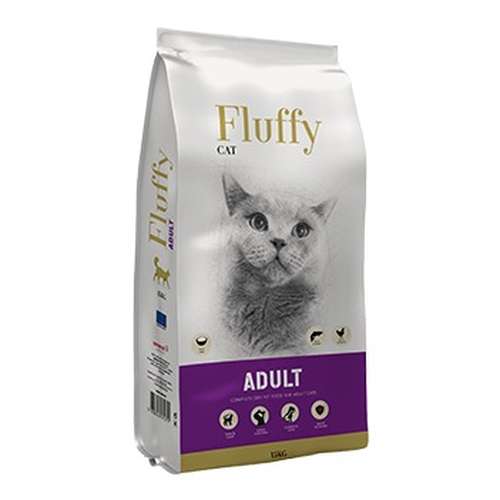 Fluffy cat adulto
