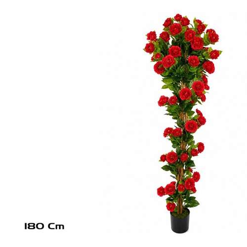 Vermelho · 180 cm