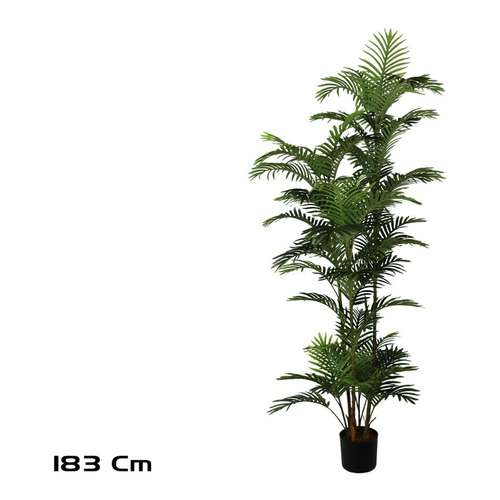 Standard · 183 cm