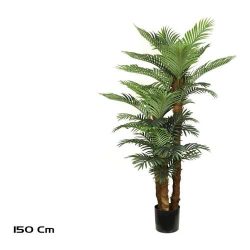 Tronco Visível · 150 cm