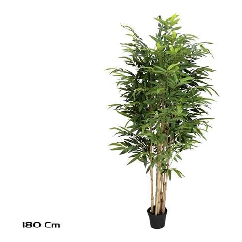 Folha Grande · 180 cm