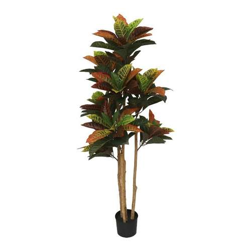 Tronco Natural Grande