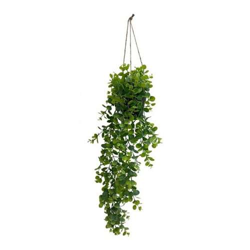 Eucalipto Escuro · 90 cm