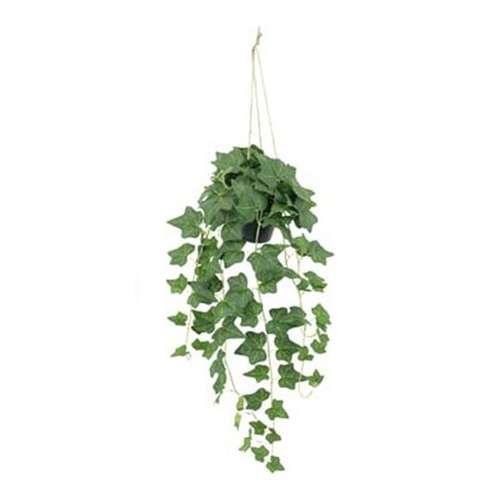 Folhas Verde Escuro · 108 cm