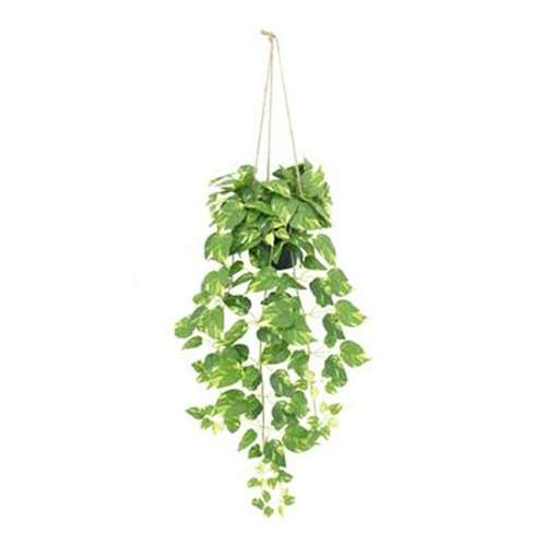Folhas Verde Claro · 108 cm