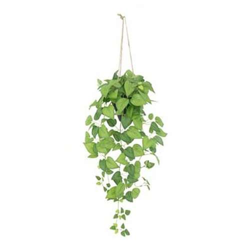 Folhas Verde · 108 cm