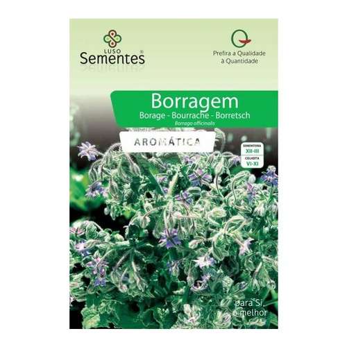Borragem