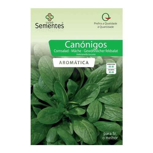 Canónigos