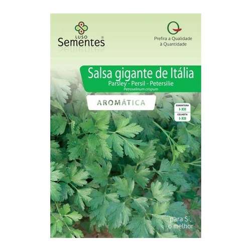 Salsa gigante de itália
