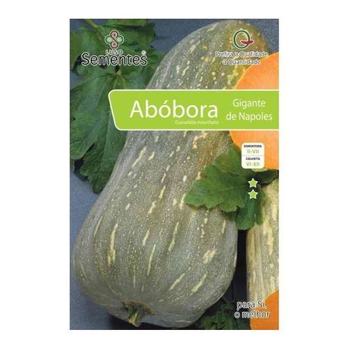 Abobora gigante de nápoles