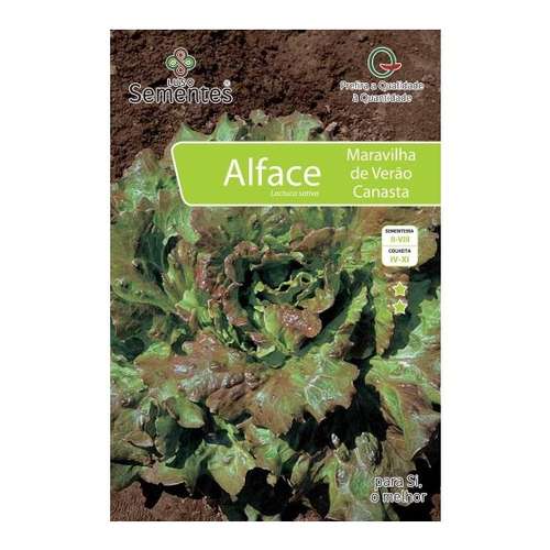 Alface canasta