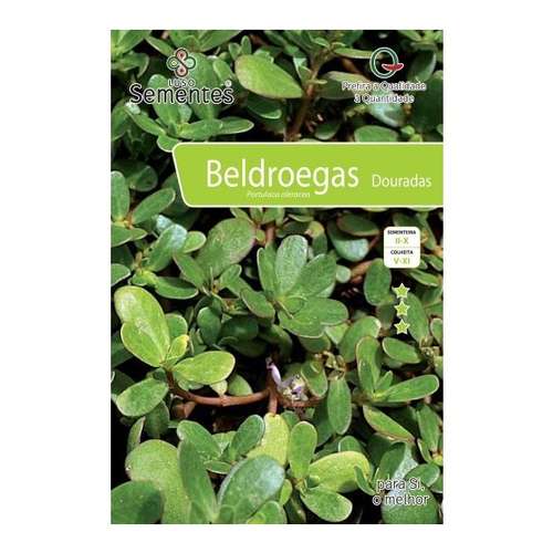 Beldroegas douradas