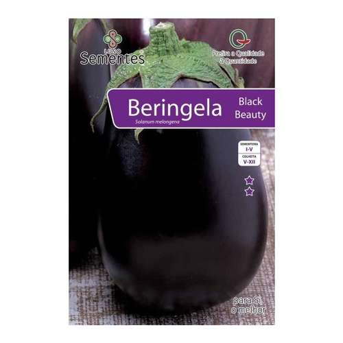Beringela black beauty