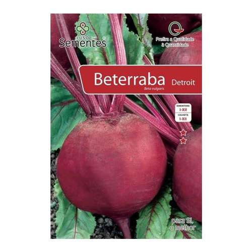 Beterraba detroit
