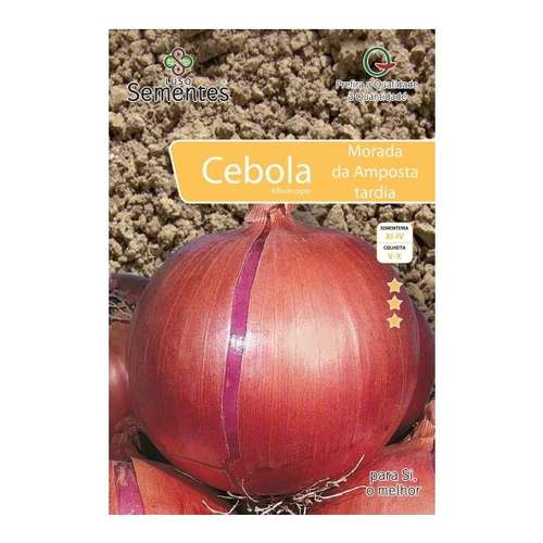 Cebola morada de amposta