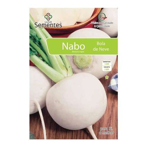 Nabo bola de neve