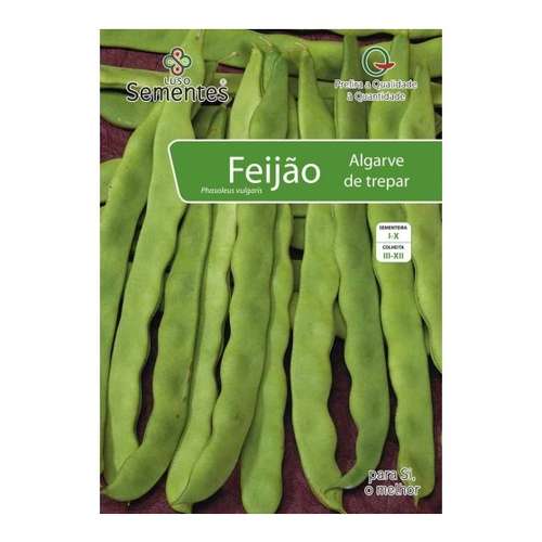 Feijão algarve de trepar