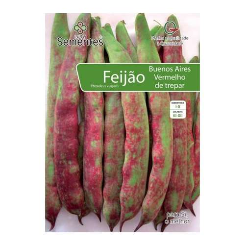 Feijão buenos aires de trepar