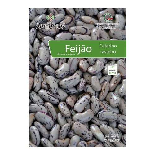 Feijão Catarino Regional Rasteiro