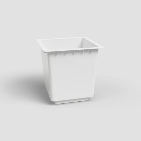 Insert Vaso Pisa