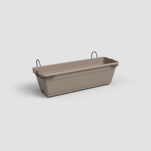 50 cm · Tortora