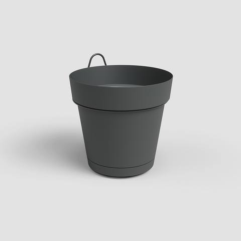 Antracite