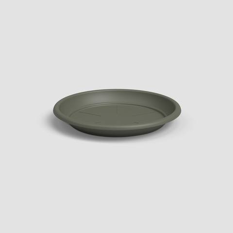 15 cm · Verde Seco