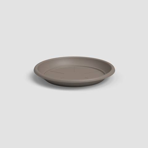 45 cm · Tortora