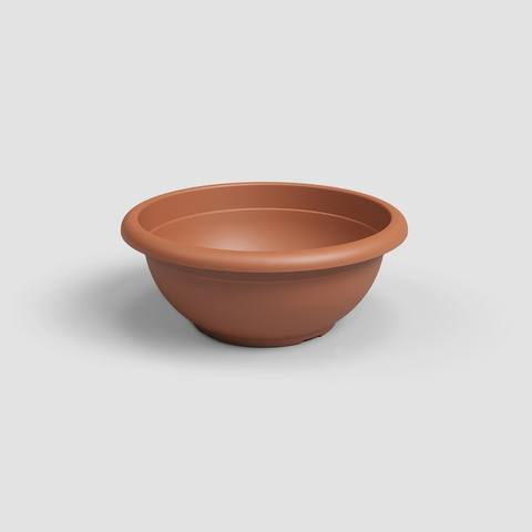 50 · Terracota