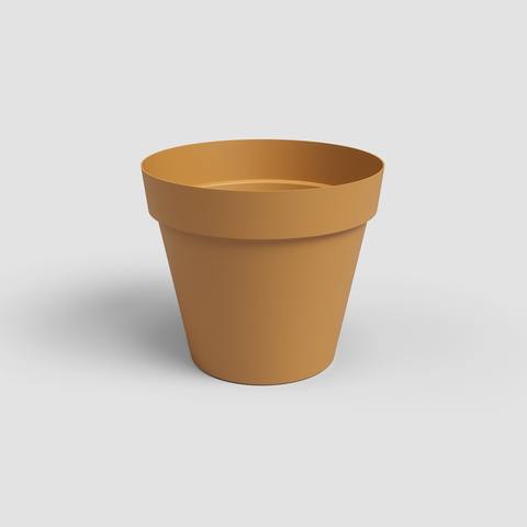 20 cm · Amarelo Mel