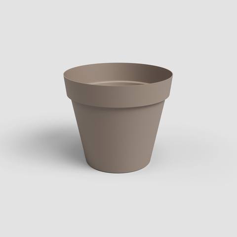 40 cm · Tortora