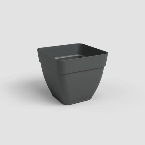 Antracite