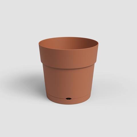 20 cm · Terracota