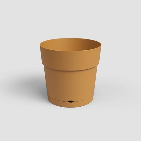 30 cm · Amarelo Mel