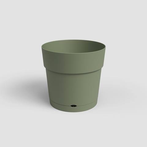 30 cm · Verde Cinza
