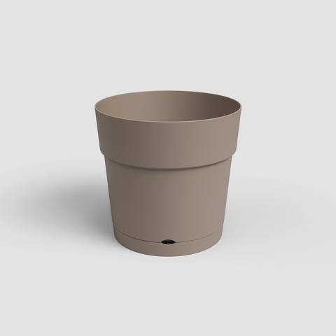40 cm · Tortora