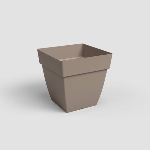 40 cm · Tortora