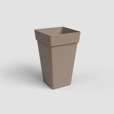 50 cm · Tortora