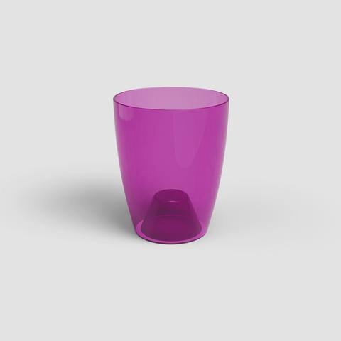 12,5 cm · Rosa F · Tran · 