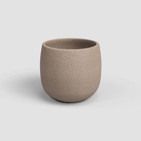 25 cm · Tortora