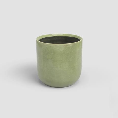 25 cm · Verde Cinza