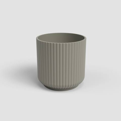 12 cm · Tortora