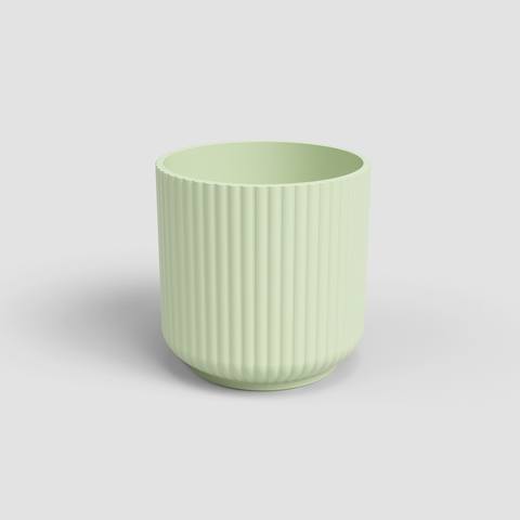 12 cm · Verde Claro