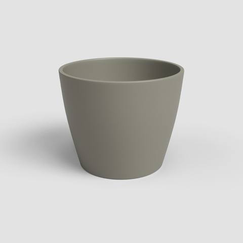 17 cm · Tortora
