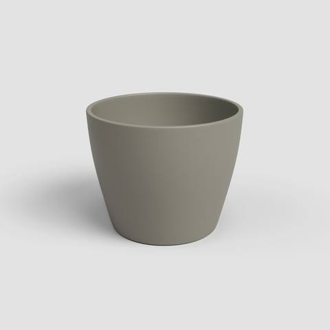 9 cm · Tortora