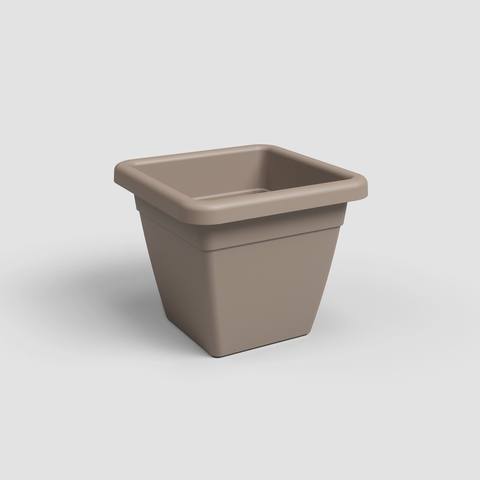 30 cm · Tortora